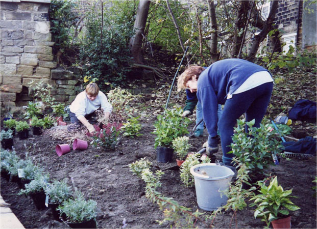 Pocket park in the making