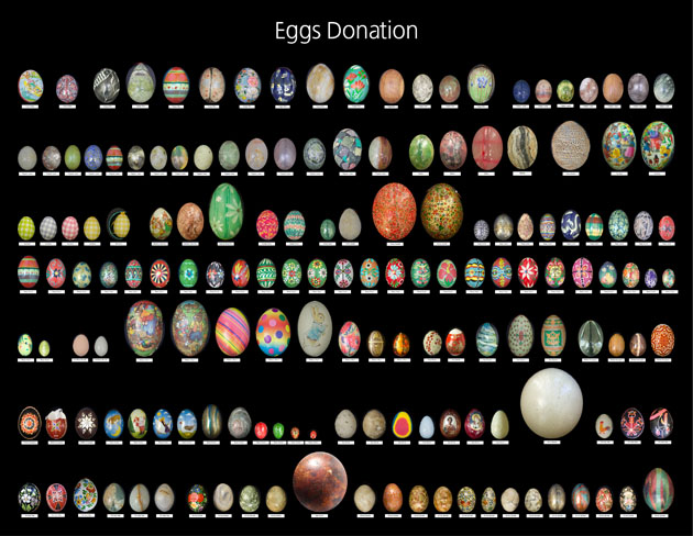 Donated Eggs
