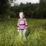 Manchester East 1 - 10: A little girl stands amongst buttercups