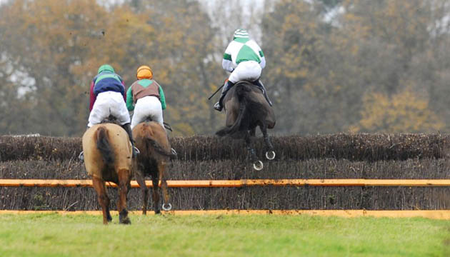 Point to point horseracing