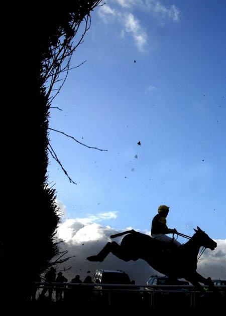 Point to point horseracing