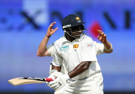 Sport pictures of the week