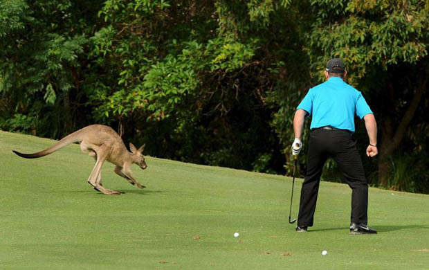 Sport pictures of the week