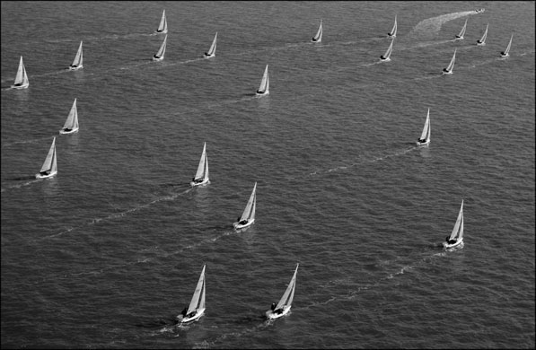 Tom Jenkins' sport pictures of the year