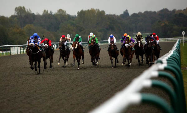 A day in the life of Seb Sanders