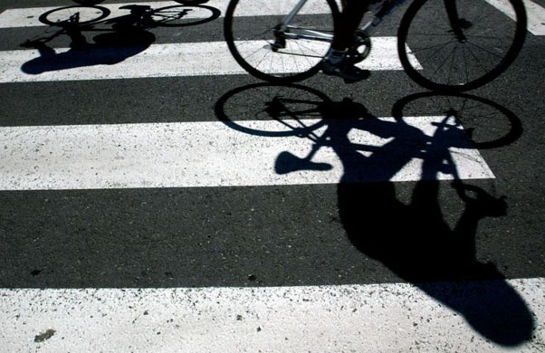 Sport pictures of the week