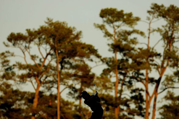 masters golf 2008