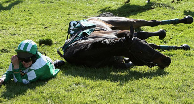 sport pictures of the week 11/4/8