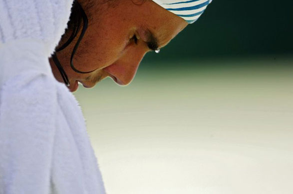 sport pictures of the week 11/4/8