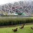 Beijing build-up