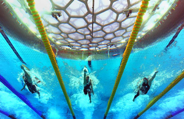 Underwater photo of swimming