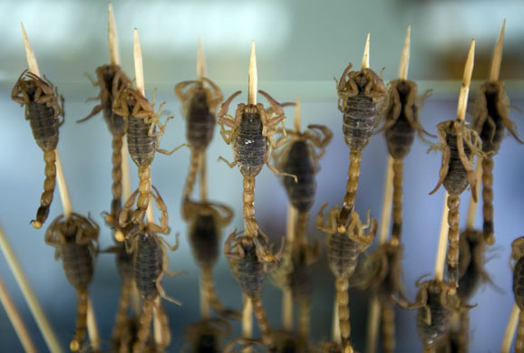 unusual beijing street food