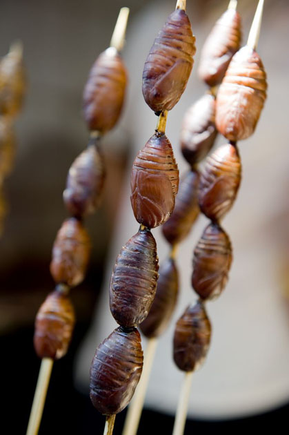 unusual beijing street food