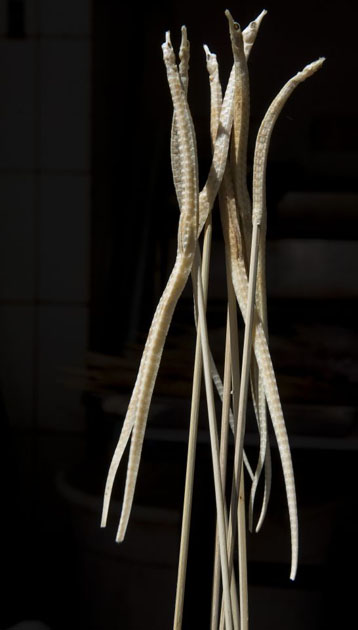 unusual beijing street food