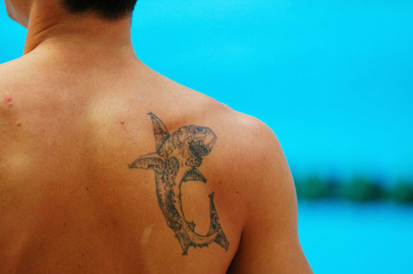 shark tattoo. Image Shark Tattoo Designs