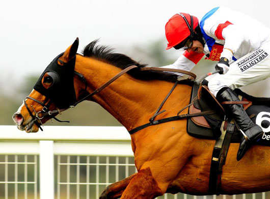 Sport Pictures of the week