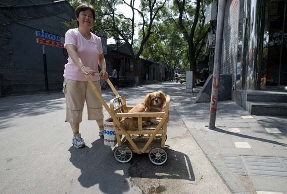 woman takes her dog for a ride