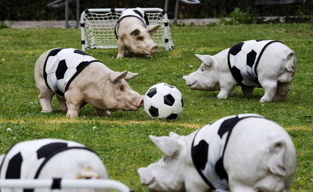 Plastic pigs are set up to look as if they play soccer in Meckenbeuren