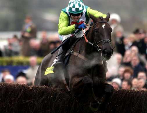 Cheltenham Gold Cup 2008