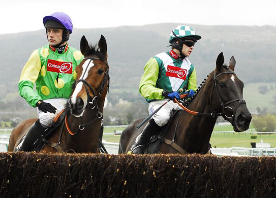  ... flyer on the big chase event, the totesport CHELTENHAM GOLD CUP 2010