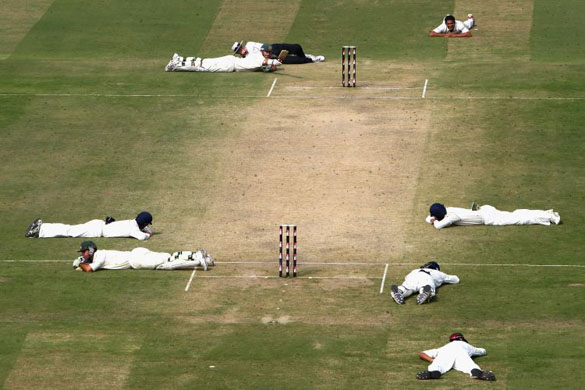 India v Australia test cricket, bees stop play