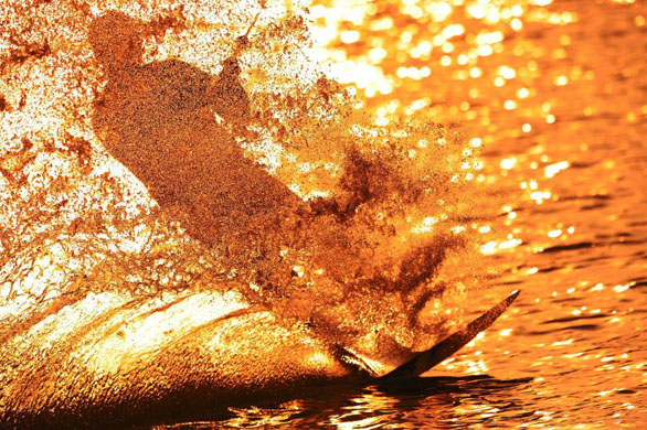 Wakeboarding in Wolfsburg 