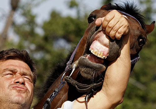 Sandor Ribanszki and Overdose