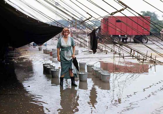 The Circus, 1870-1950