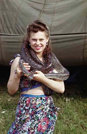 The Circus, 1870-1950