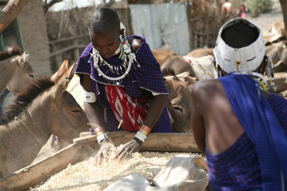 Africa's Hungry Tribe