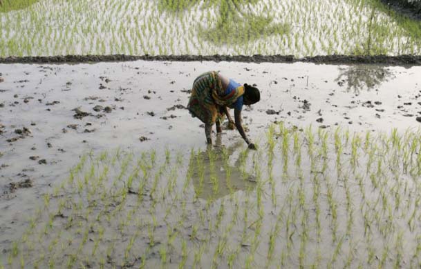 Sunderbans: Paradise Eroded
