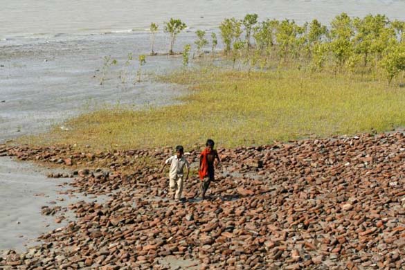 Sunderbans: Paradise Eroded