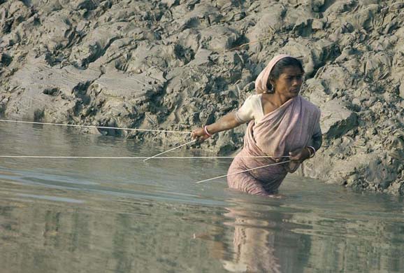 Sunderbans: Paradise Eroded