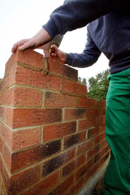 Biodiversity in British Prisons