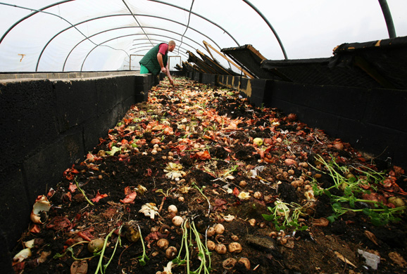 Biodiversity in British Prisons