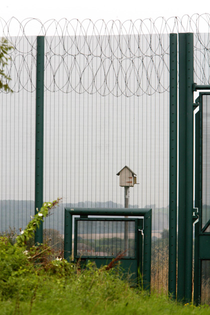 Biodiversity in British Prisons