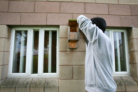 Biodiversity in British Prisons