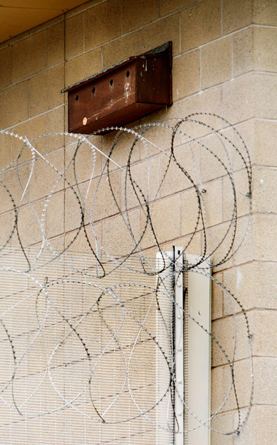 Biodiversity in British Prisons