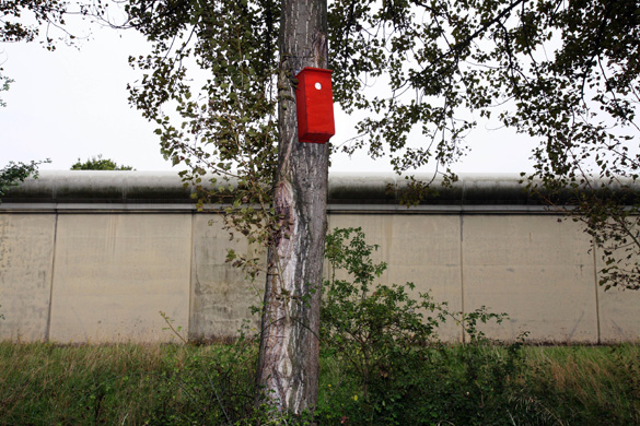 Biodiversity in British Prisons