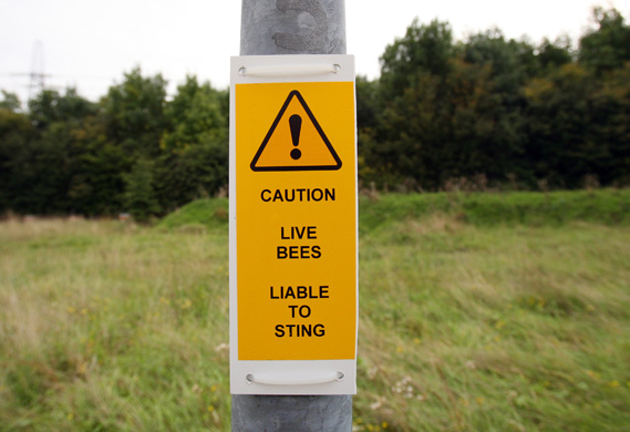 Biodiversity in British Prisons