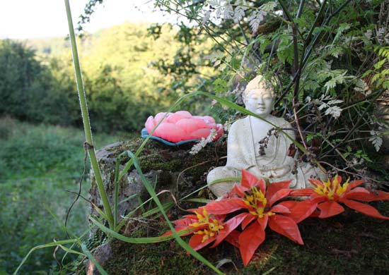 La Rosa caravan site