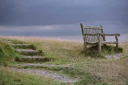 Bench, Devon