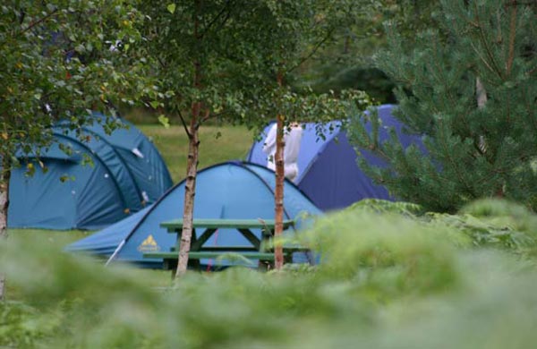 Scottish camping