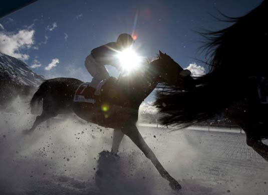 White Turf race in St Moritz