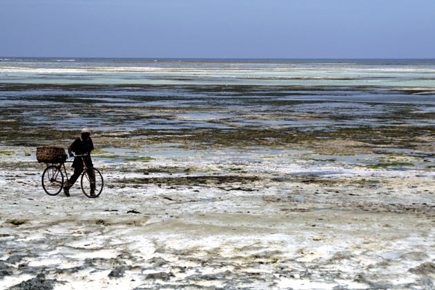 Cyclist Kiwengwa Zanzibar