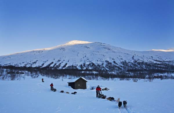 Husky safari in Norway