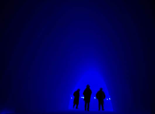 Husky safari in Norway