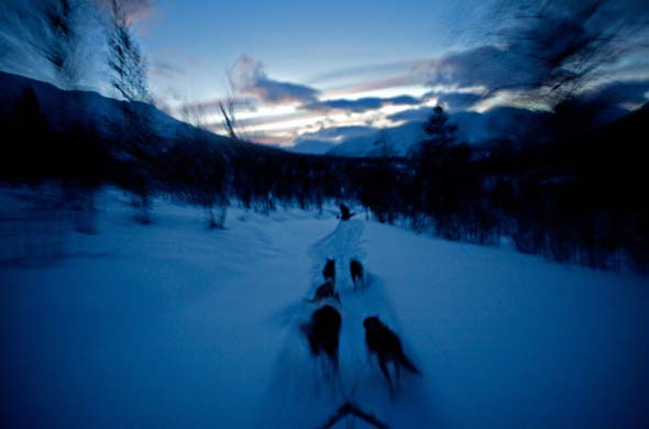 Husky safari in Norway