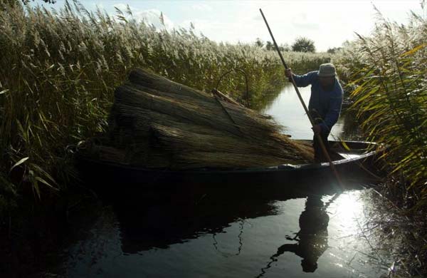 Broads National Park