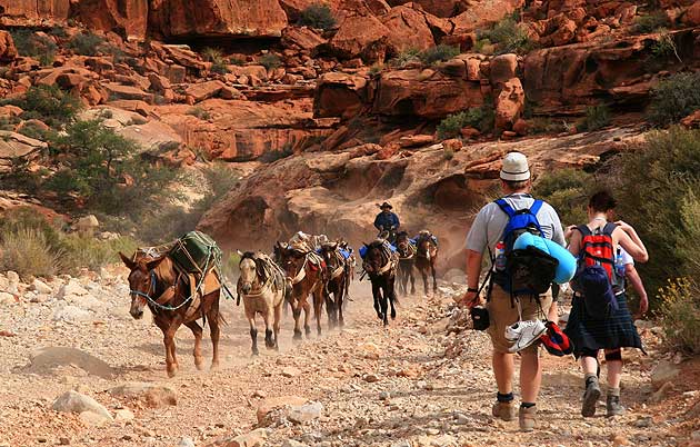Hualapai Canyon, Grand Canyon, Nevada, United States